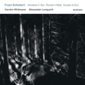 Franz Schubert: Fantasie in C Major; Rondo in B Minor; Sonata in A Major artwork