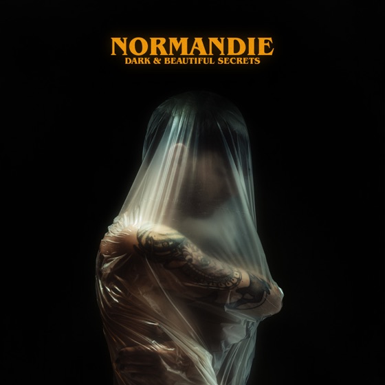 Cover artwork for Hostage