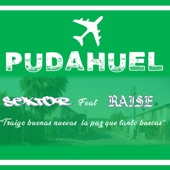 Pudahuel (con Raise) artwork