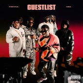 Guestlist (feat. NSG) artwork