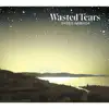 WASTED TEARS album lyrics, reviews, download