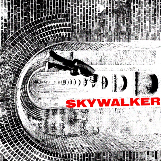 Cover artwork for Skywalker