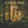 Stream & download Woodz - Single