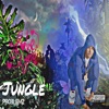Jungle - Single, 2020