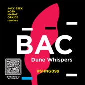 Dune Whispers (Kosh (GR) remix) artwork