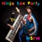 Dinosaur Laser Fight - Ninja Sex Party lyrics
