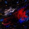Adlib Astronauts - jeanhorus lyrics