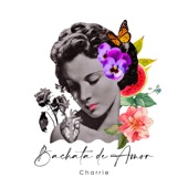 Bachata de Amor artwork