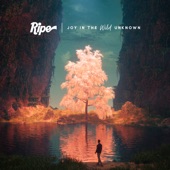 Ripe - Downward