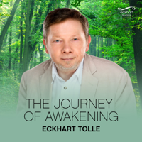 Eckhart Tolle - The Journey of Awakening artwork