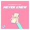 Never Knew (feat. Vedo) - Nique & Erikk Prince lyrics