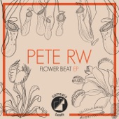 Flower Beat (Remastered) artwork