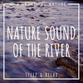 Sound of a River artwork