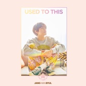 Used To This (English Version) artwork