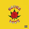 Sauce Boyz album lyrics, reviews, download