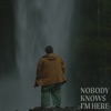 Nobody Knows I'm Here - Single