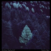 Forest Blue artwork