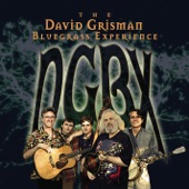The David Grisman Bluegrass Experience - Baby Blue Eyes