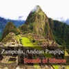 Zampoña, Andean Panpipe - Sounds of Silence