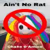Ain't No Rat - Single album lyrics, reviews, download