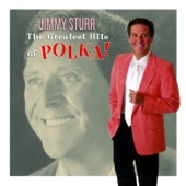 Jimmy Sturr & His Orchestra - Pennsylvania Polka