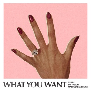 What You Want - Single