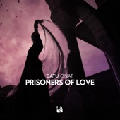 Prisoners of Love artwork