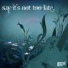 Say It's Not Too Late - Single