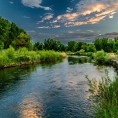 Reflections on the river artwork