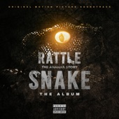 Rattle Snake artwork