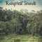 Rainforest Sleep Sounds artwork