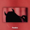Pecadora - Single
