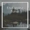 Enchanting Forest - Celtic Irish Music album lyrics, reviews, download
