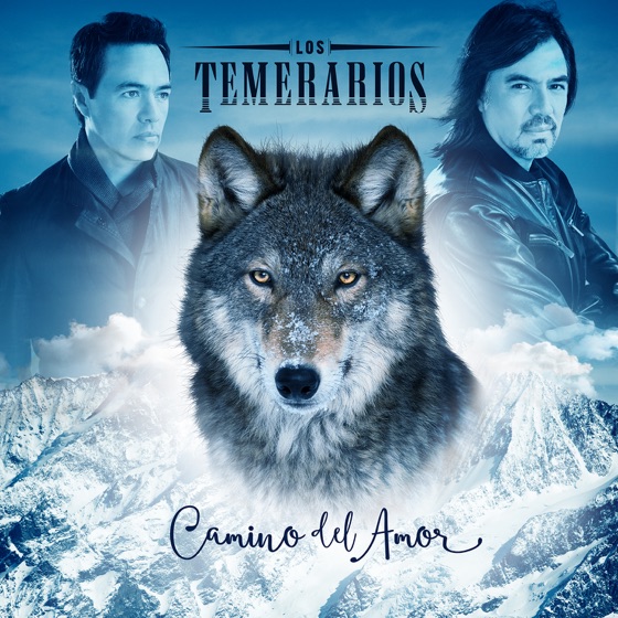 Cover artwork for Pobre Tonto Enamorado