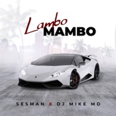 Lambo Mambo artwork