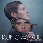 Rumo ao Sul artwork