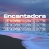 Encantadora (Remix) - Single