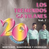Los Tremendos Gavilanes - Gregorio Cortez