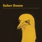 Solan Goose - Erland Cooper lyrics