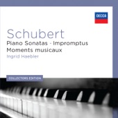 Schubert: The Piano Sonatas artwork