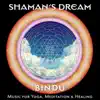 Bindu: Music for Yoga, Meditation & Healing album lyrics, reviews, download