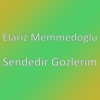 Elariz Memmedoğlu - Sendedir Gozlerim