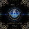 Best of Ambient Tracks, Vol. 1