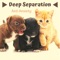 Pet Care Music Therapy - Frank Morrison lyrics