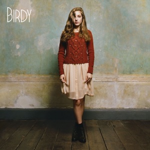 Birdy - Birdy - People Help The People [official Music Video] Lyrics - Zortam Music