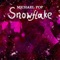 Snowflake (Disco Riders & Vortecs Remix) - Michael Pop lyrics