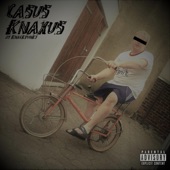 Casus Knaxus artwork