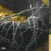 rockstar (Remix) [feat. Nicky Jam & Ozuna] - Single album lyrics, reviews, download