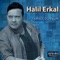 Beni - Halil Erkal lyrics