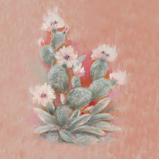 Cover artwork for Cactus